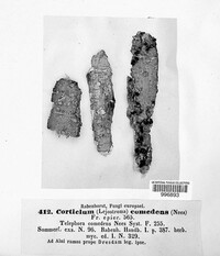Image Associated With the Occurence